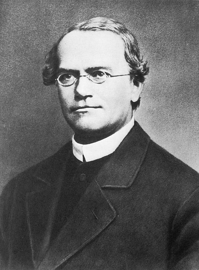 Gregory Mendel