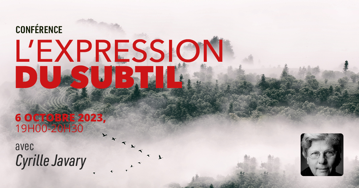 Lexpression-du-subtil-Cyrille-copie Lapin